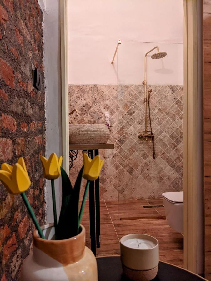 טימישוארה The Industrique Home - 3 Bedroom Apartment מראה חיצוני תמונה